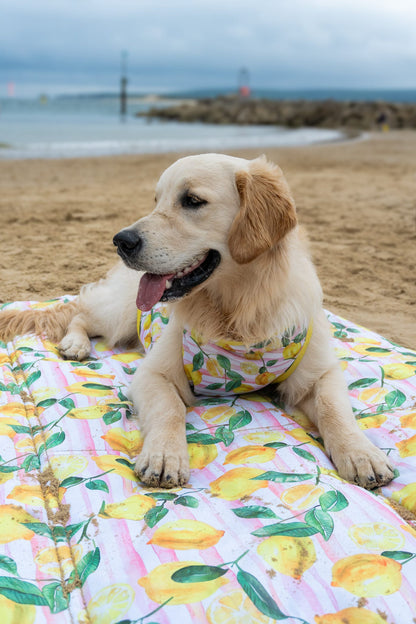 La Dolce Vita Picnic Mat
