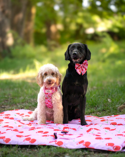 Cherry on Top Picnic Mat