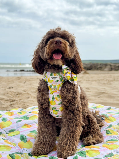 La Dolce Vita Picnic Mat