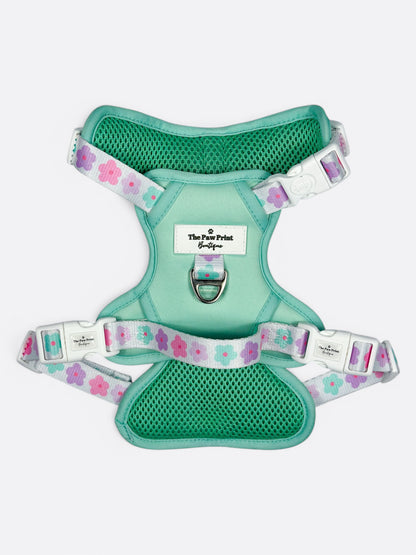 The Minty Meadows Adventure Paws Harness