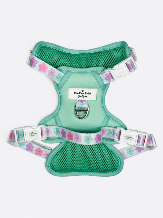 The Minty Meadows Adventure Paws Harness