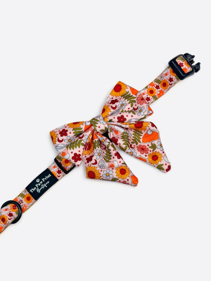 The Pumpkin Pie Collar