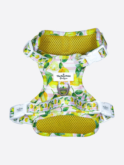 La Dolce Vita Adventure Paws Harness