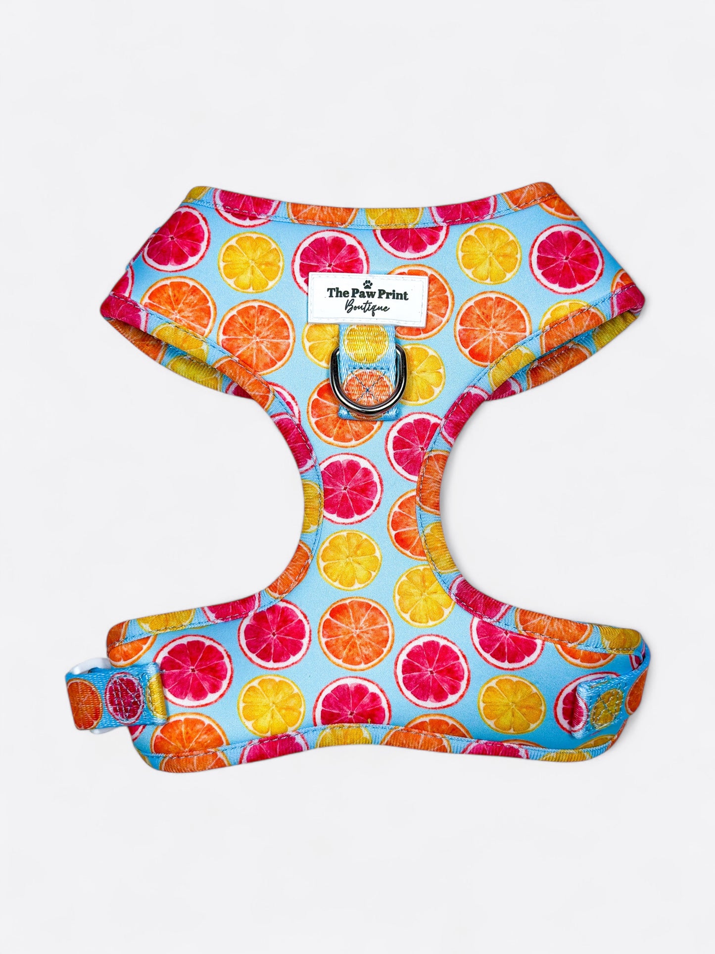 Squeeze the Day Adjustable Harness