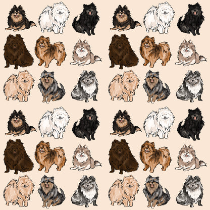The Pomeranian Dog Walking Bag