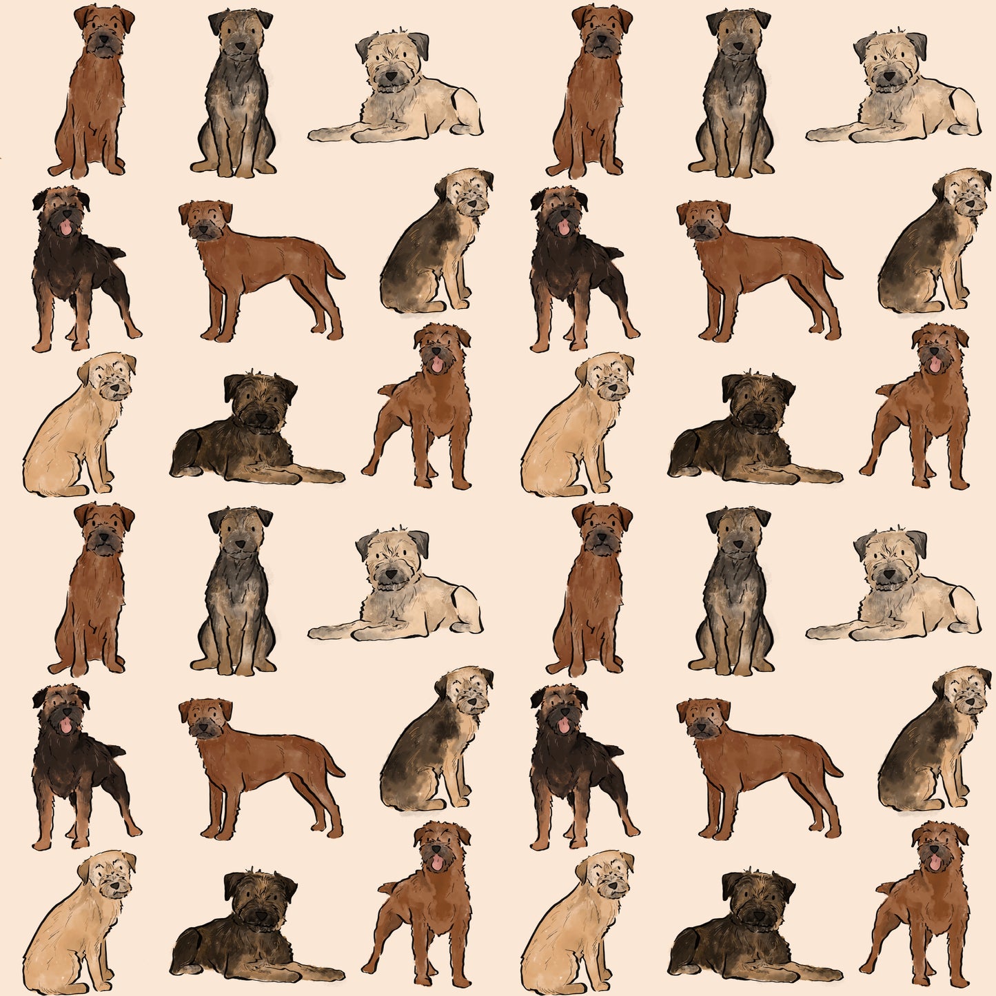 Border Terrier Dog Blanket