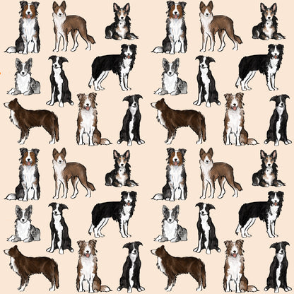 The Border Collie Dog Walking Bag